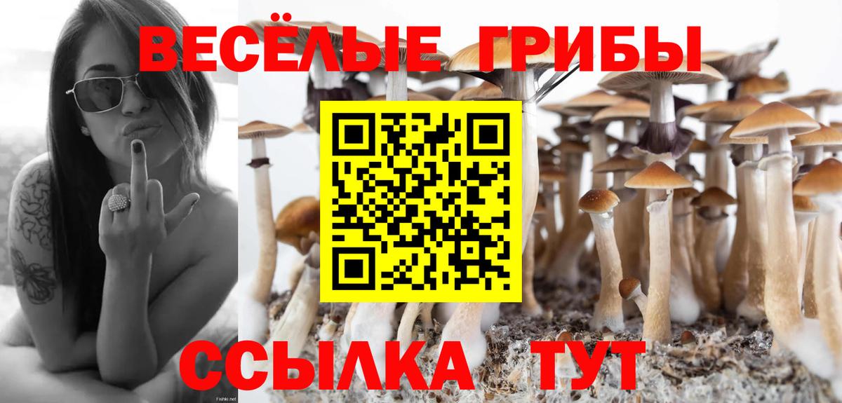 Псилоцибиновые грибы Magic Shrooms Мытищи