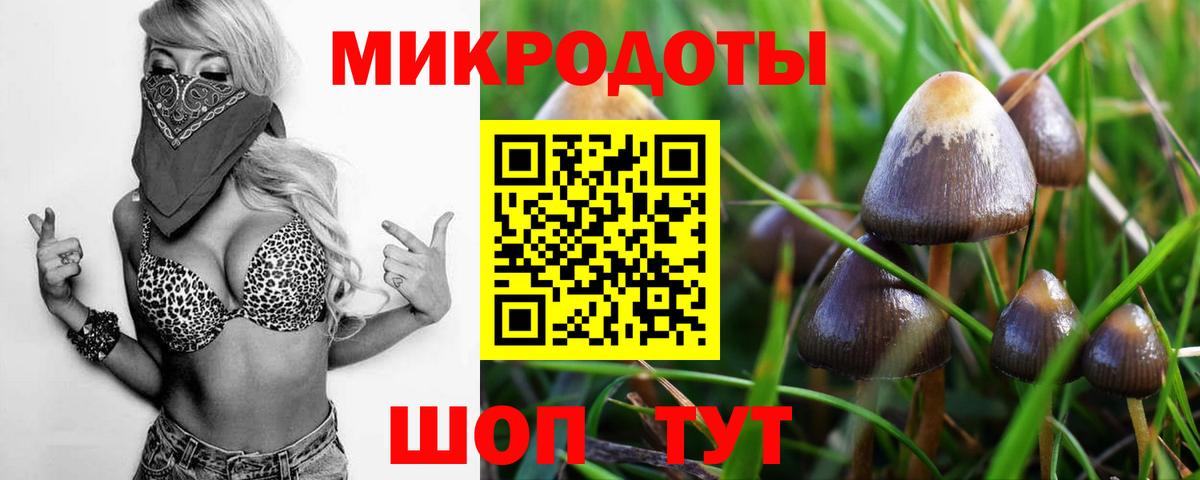 Псилоцибиновые грибы Cubensis  Вход с VPN  Мытищи  Галлюциногенные грибы прущие грибы 
